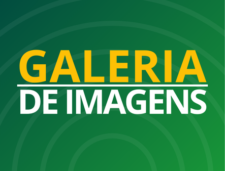Galeria de Imagens2